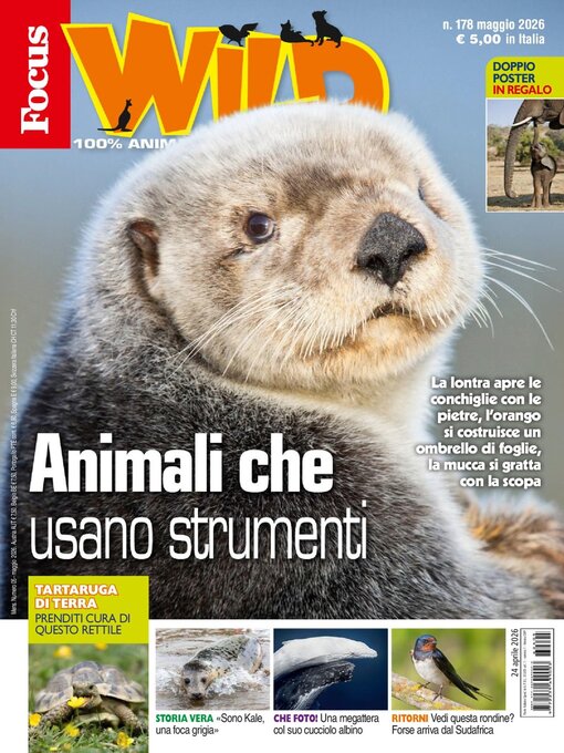 Cover image for Focus Wild 